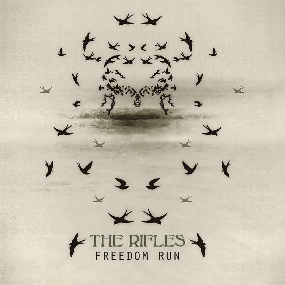 Picture of Freedom Run