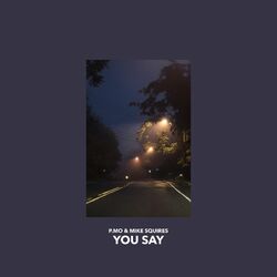 Cover of You Say