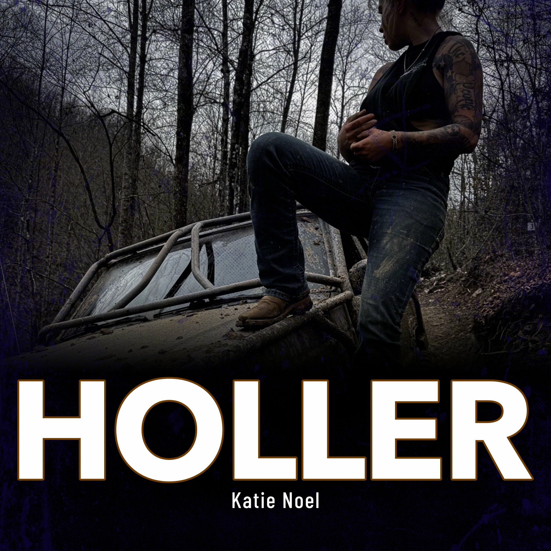 Album cover of HOLLER