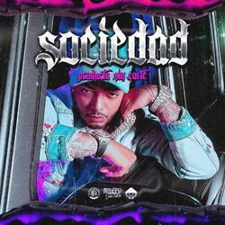 Cover of Sociedad