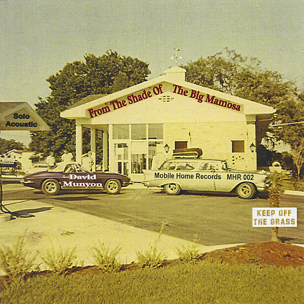 Picture of From the Shade of the Big Mamosa