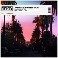 Cover of Not About You
