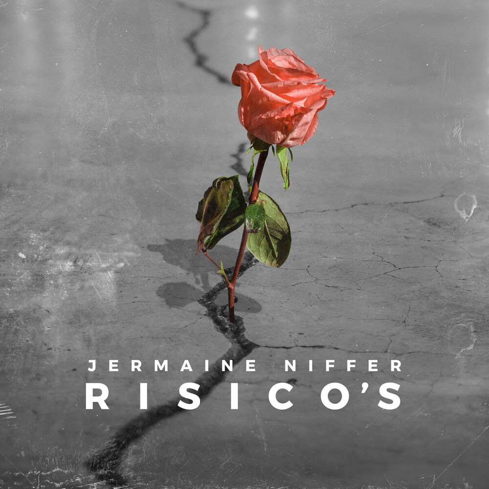 Picture of Risico's