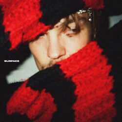Cover of SURFACE