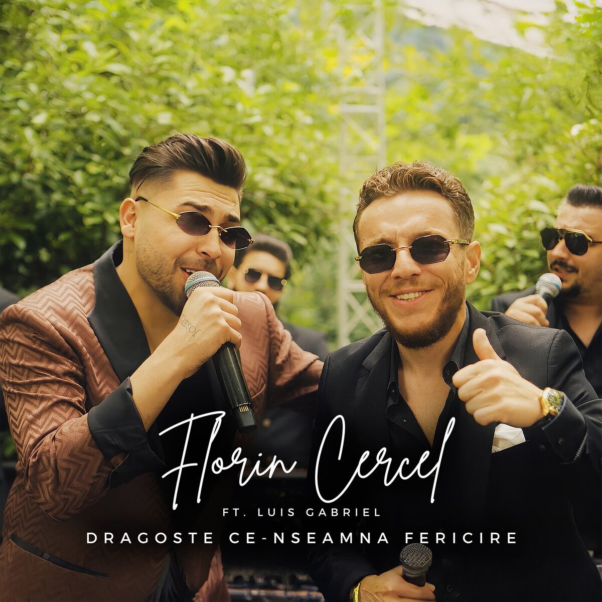 Album cover of Dragoste Ce-Nseamna Fericire
