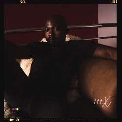 Cover of 199X