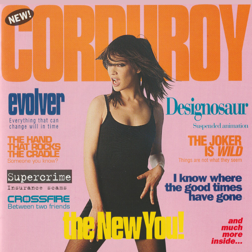Picture of The New You