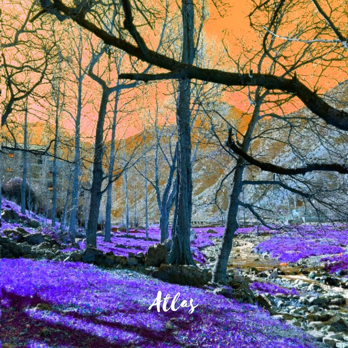 Album cover of Atlas