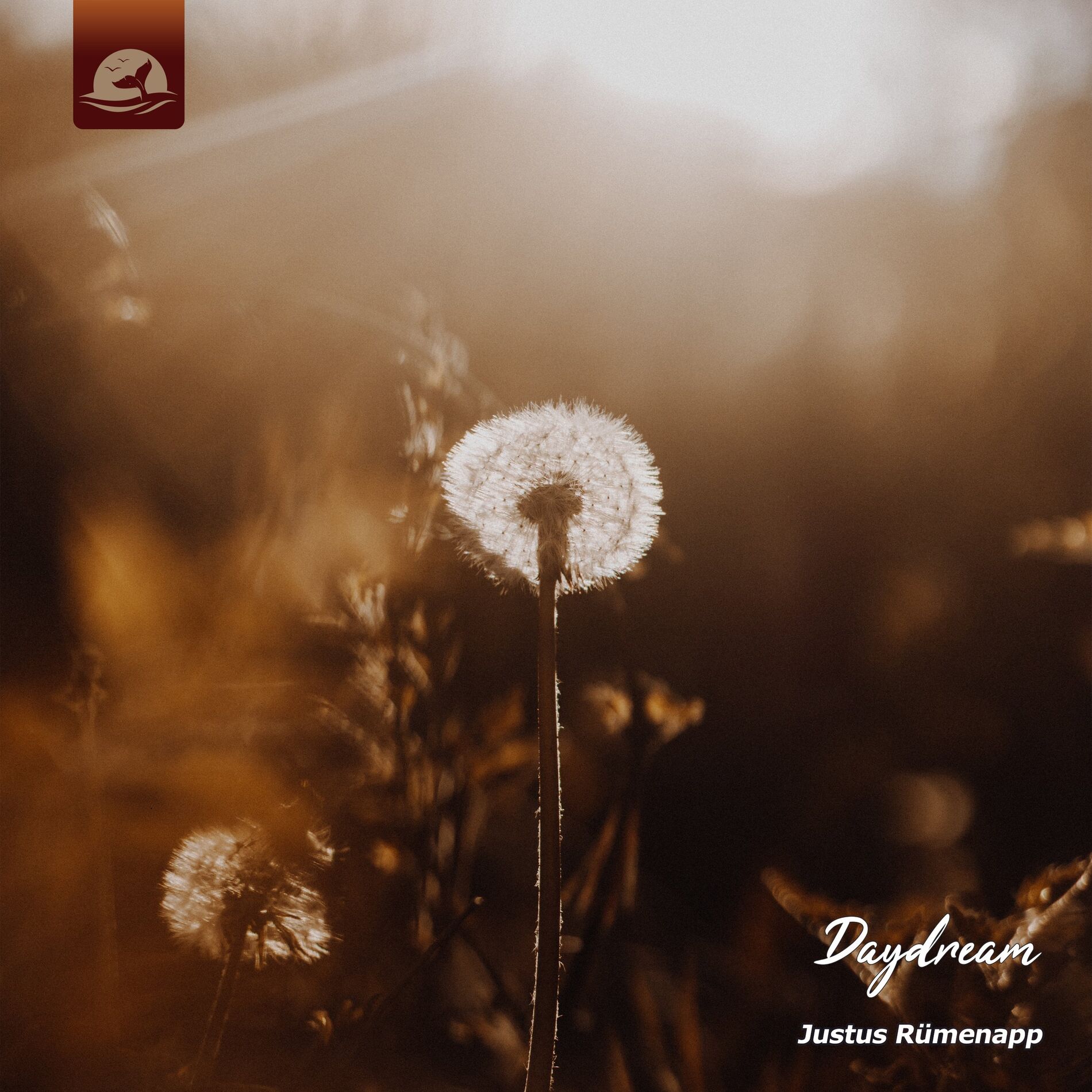 Album cover of Daydream
