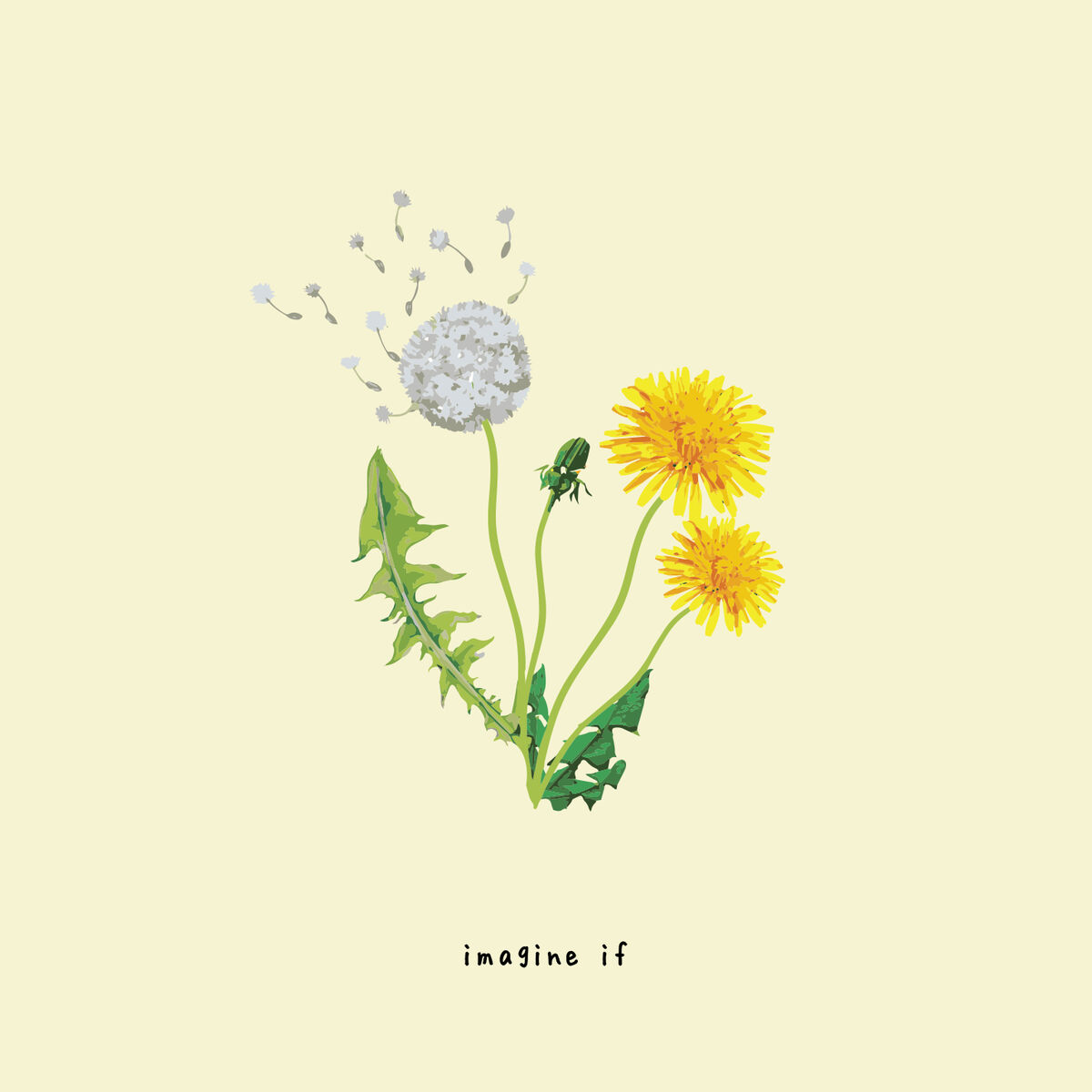 Album cover of imagine if