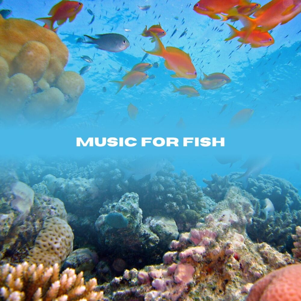 Picture of Music For Fish