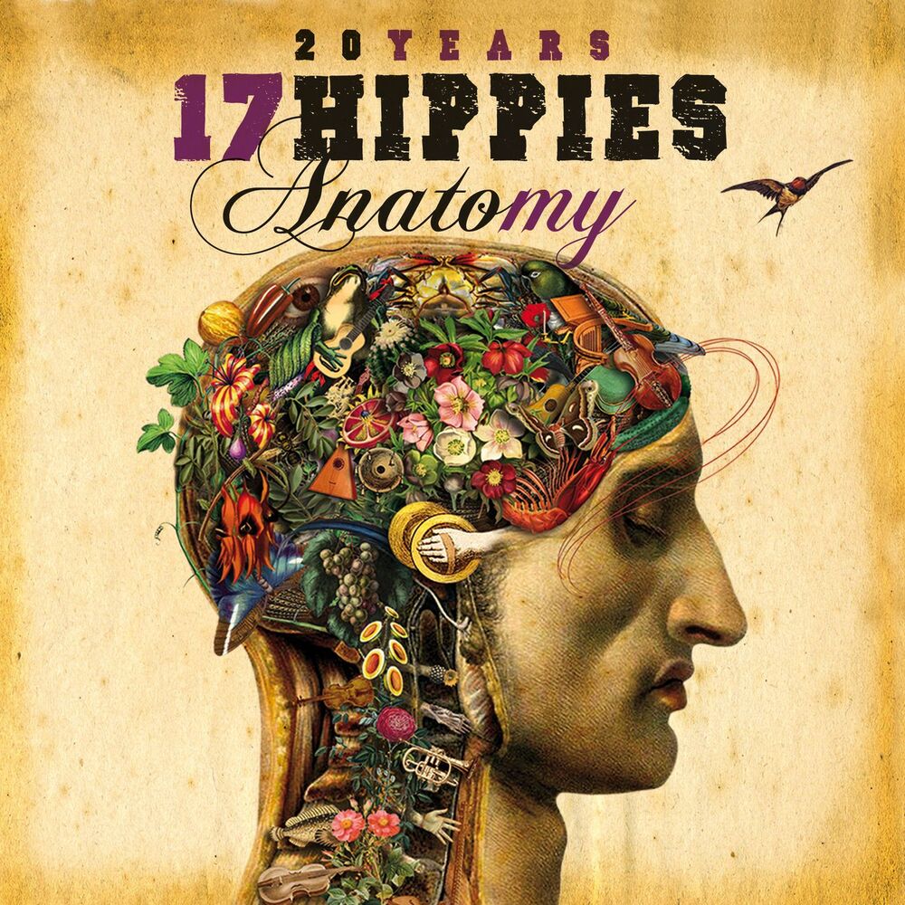 Picture of 20 Years 17 Hippies - Anatomy