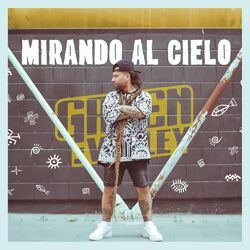 Cover of Mirando al Cielo