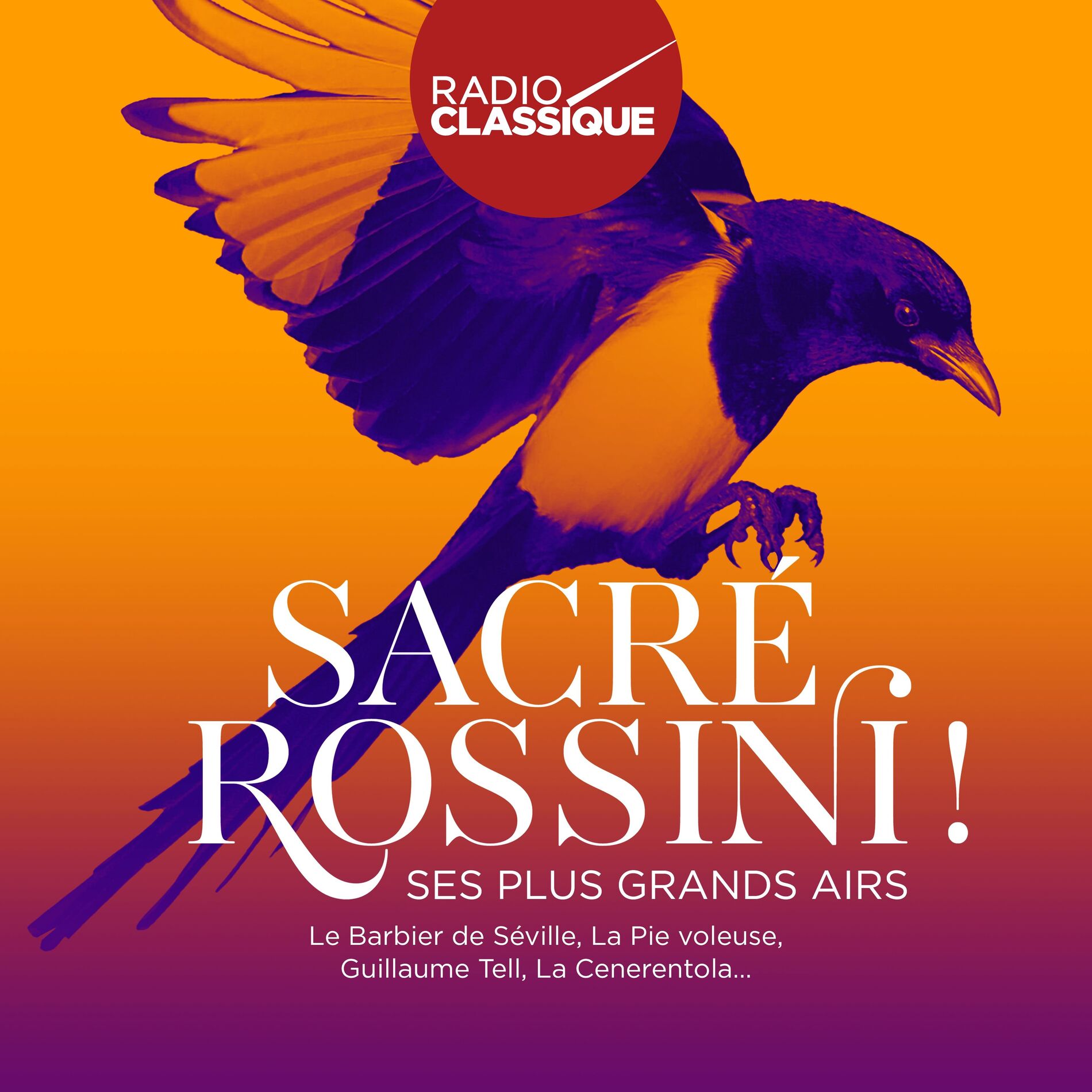 Album cover of Rossini: Il barbiere di Siviglia, Act 1: 