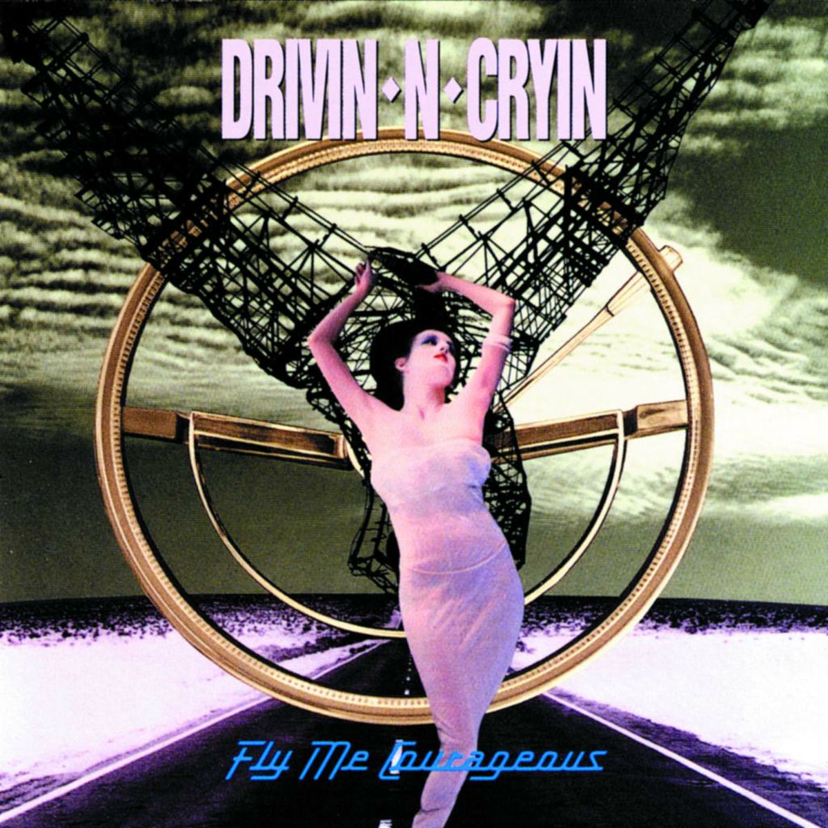 Album cover of Fly Me Courageous