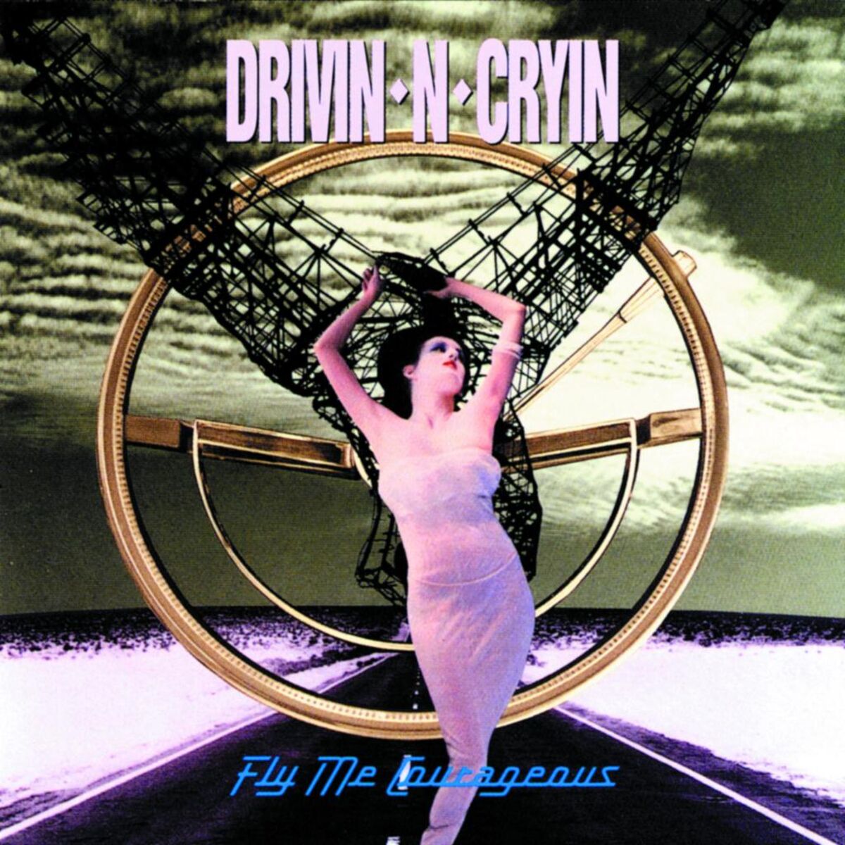 Album cover of Fly Me Courageous
