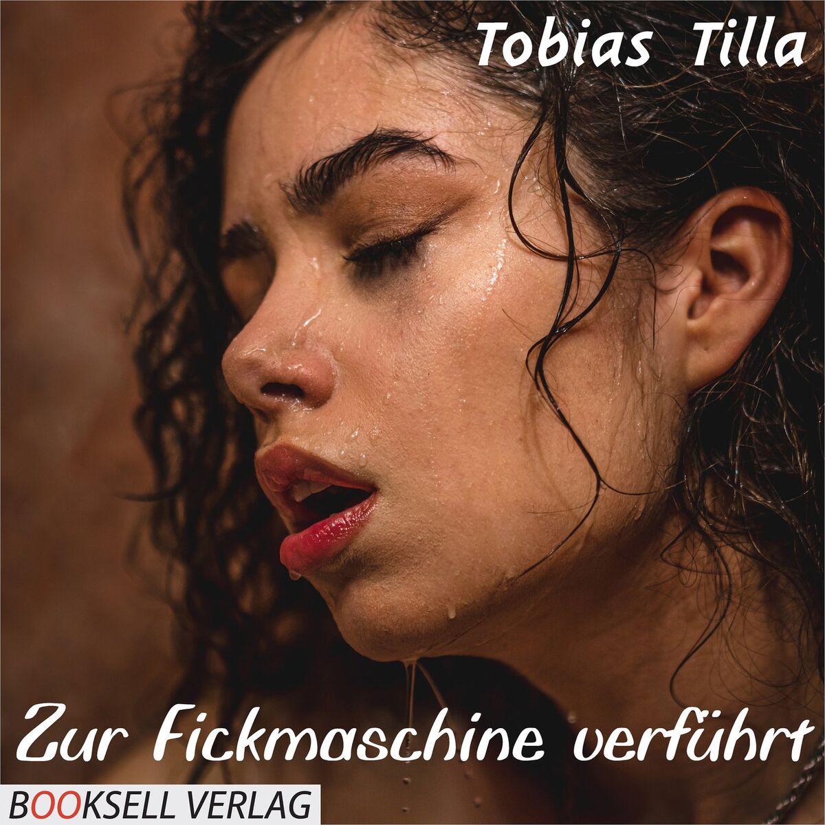Album cover of Kapitel 1 - Zur Fickmaschine verführt
