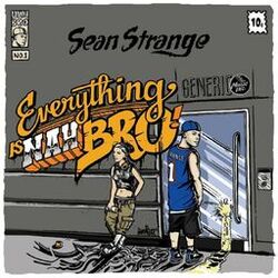 Cover of Everything is Nah Bro