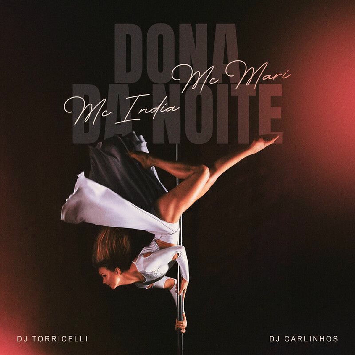 Album cover of Dona Da Noite