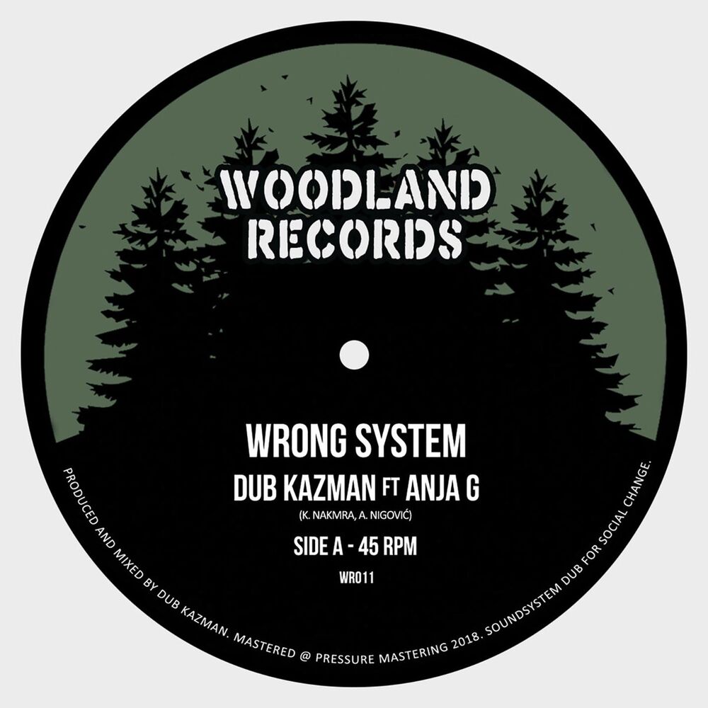 Picture of Wrong System