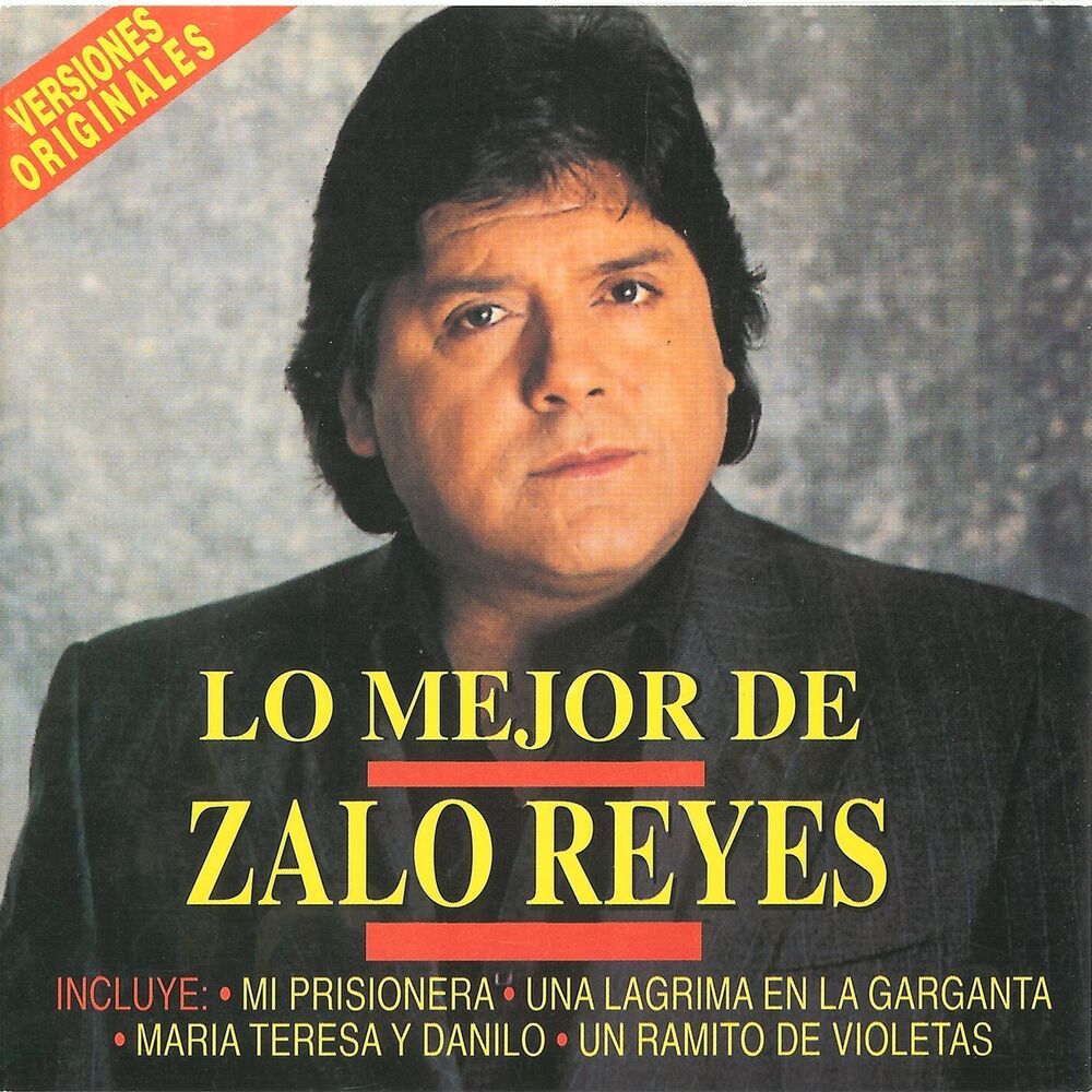 Picture of Un Ramito De Violetas