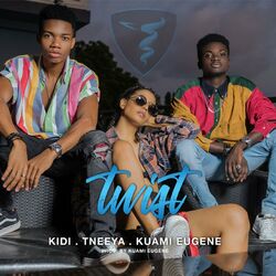Cover of Twist