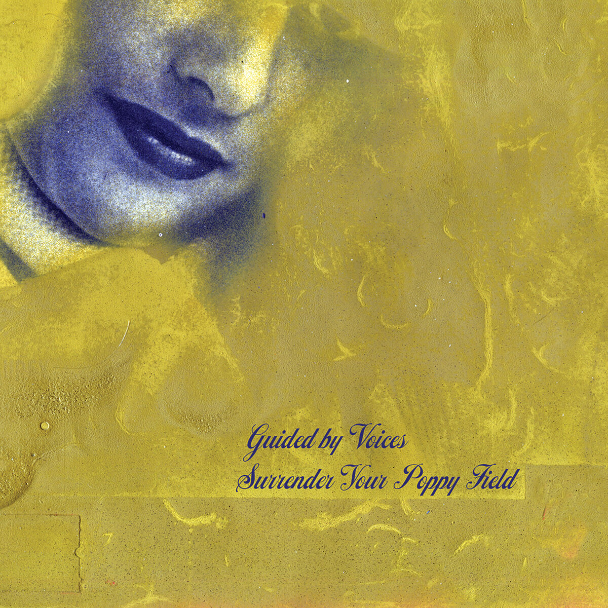 Album cover of Surrender Your Poppy Field