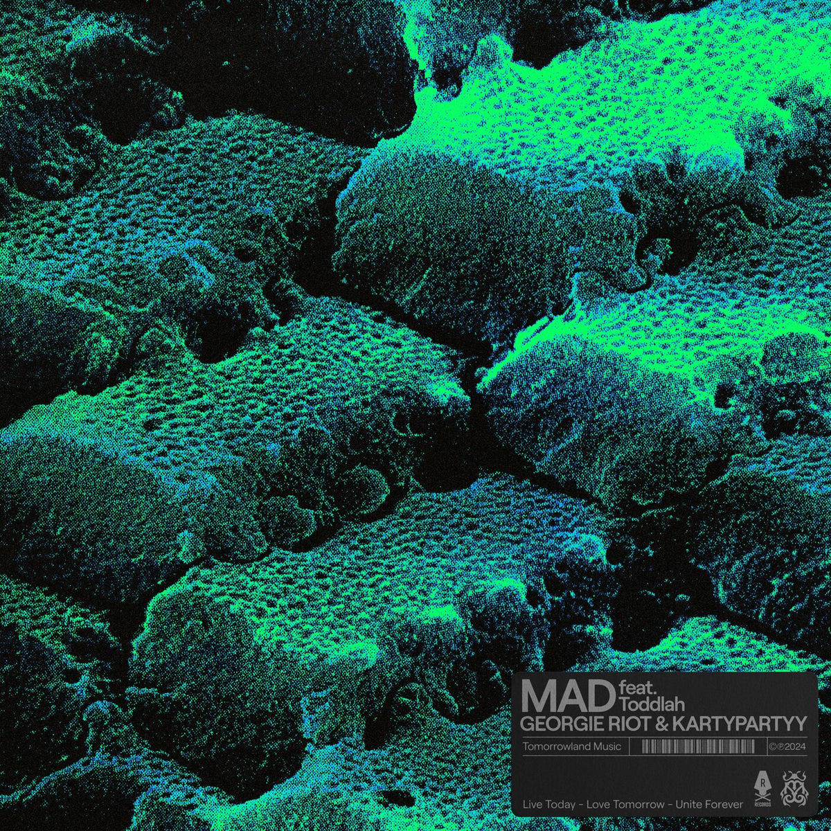Album cover of Mad