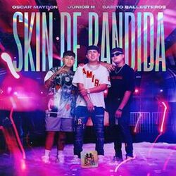 Cover of Skin de Bandida