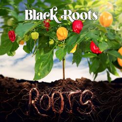 Cover of Roots