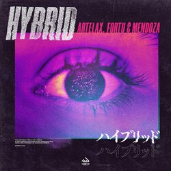 Cover of Hybrid