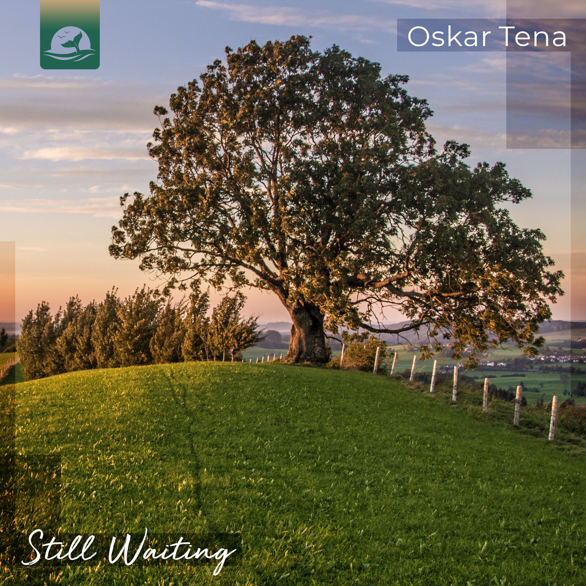 Album cover of Still Waiting