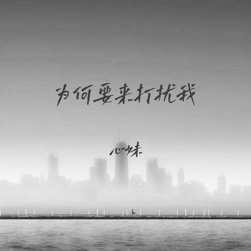 为何要来打扰我