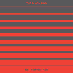 Cover of Neither/Neither