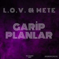 Cover of Garip Planlar