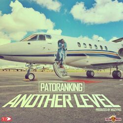 Cover of Another Level