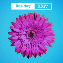 Cover of Fine Day XXIV