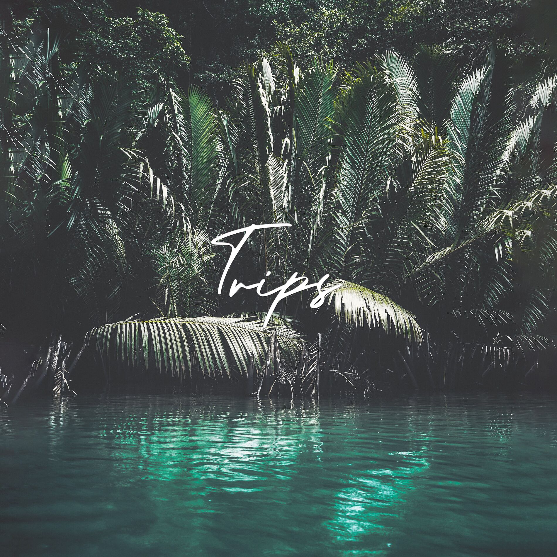 Album cover of Trips