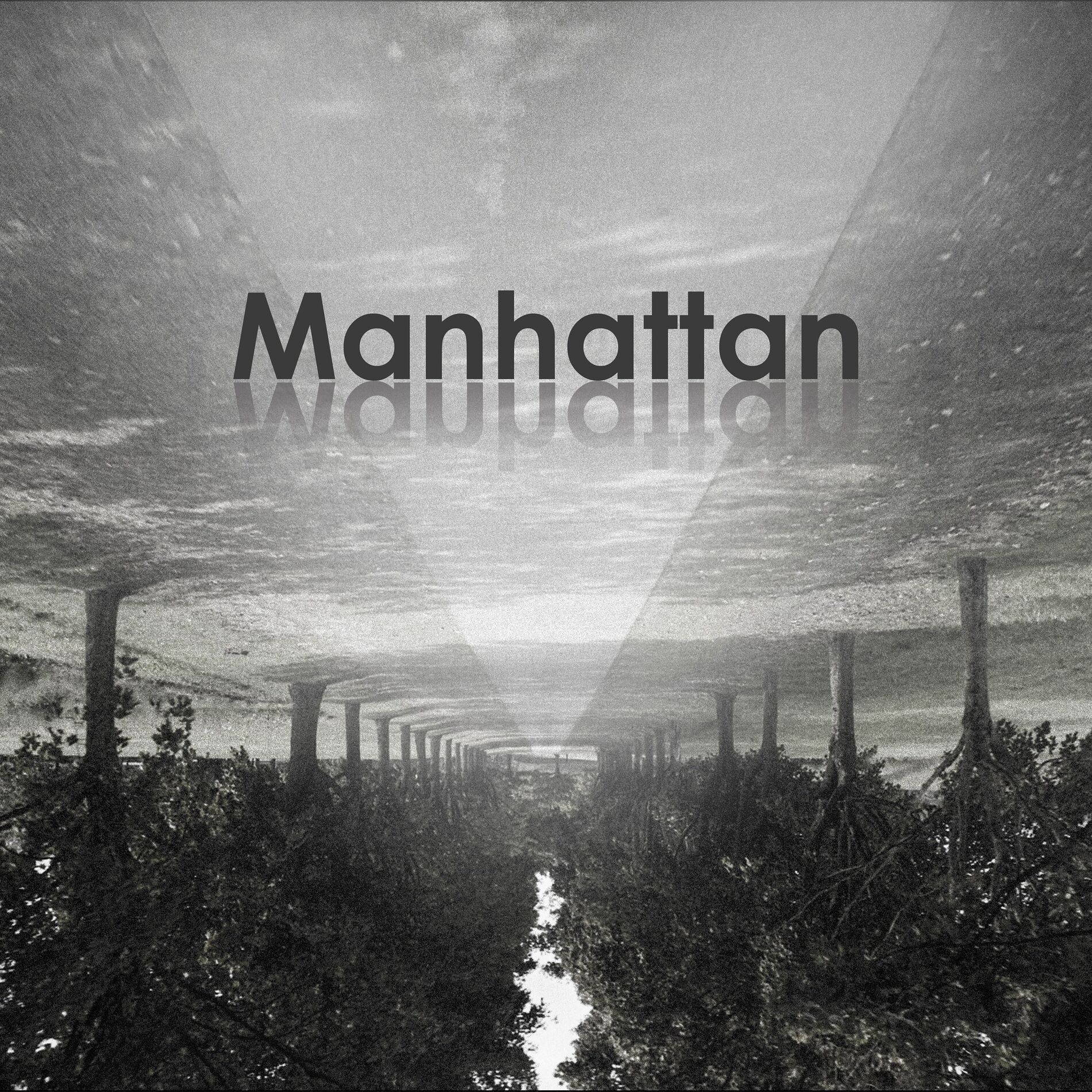 Album cover of Manhattan