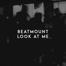 Cover of Look at Me