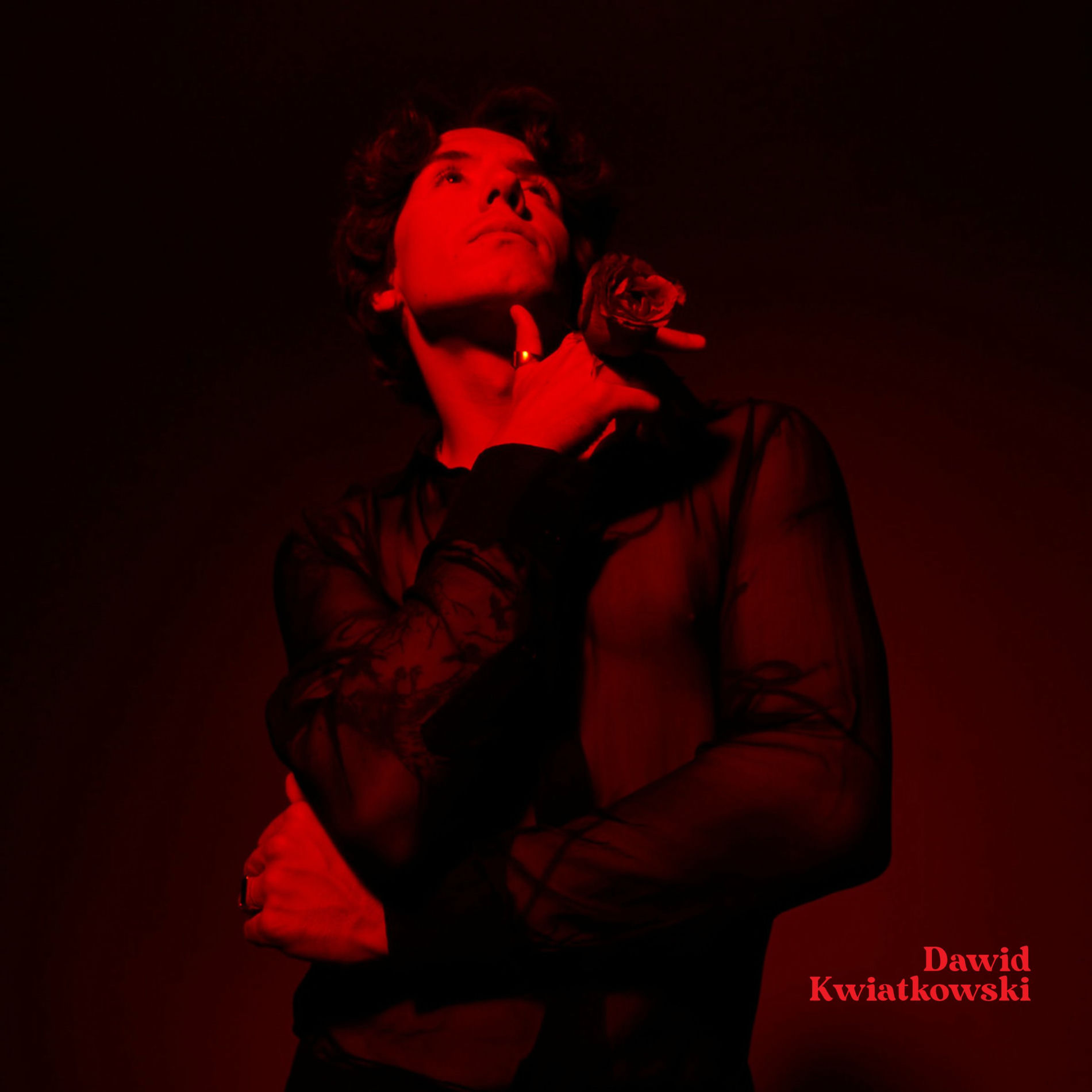 Album cover of Dawid Kwiatkowski