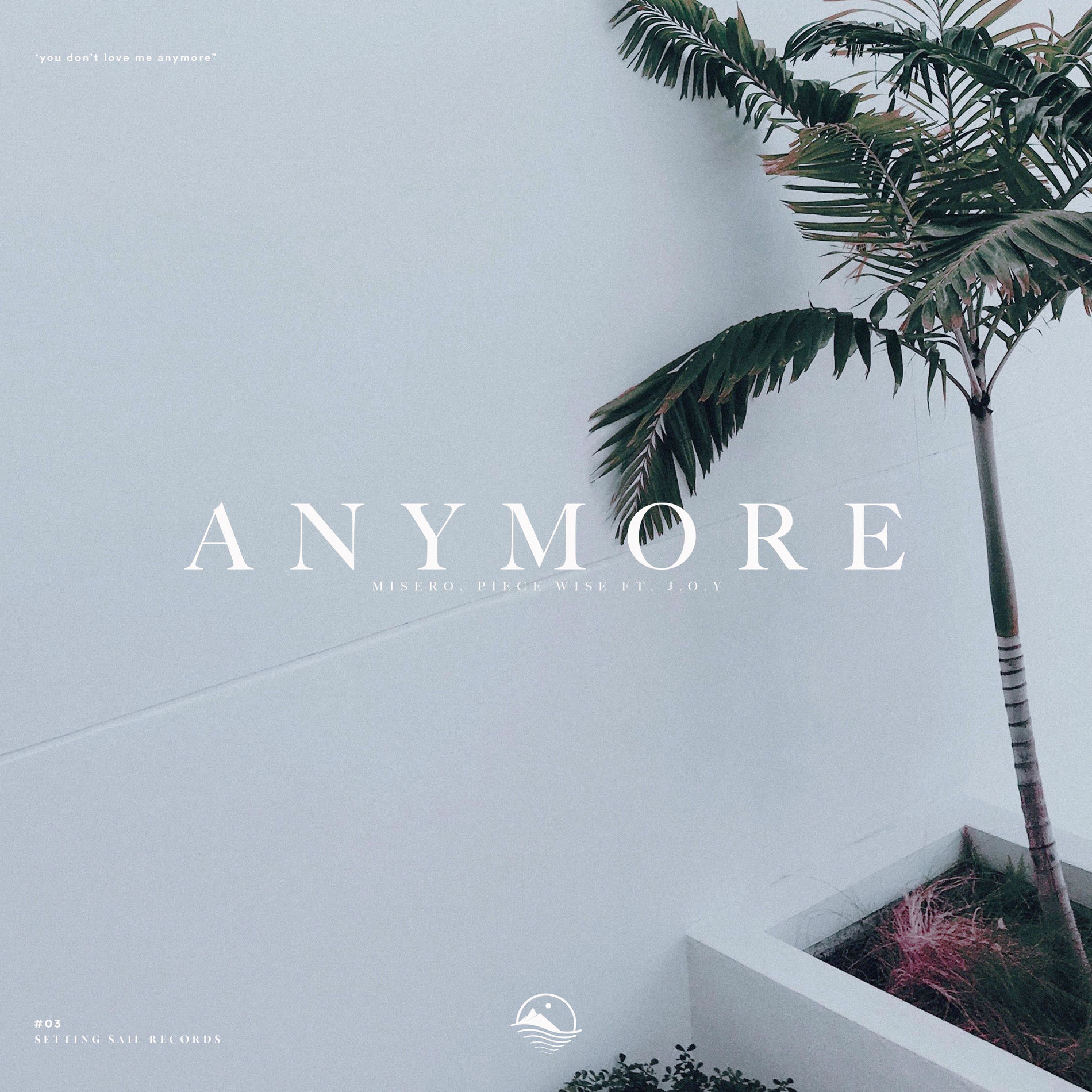 Album cover of Anymore