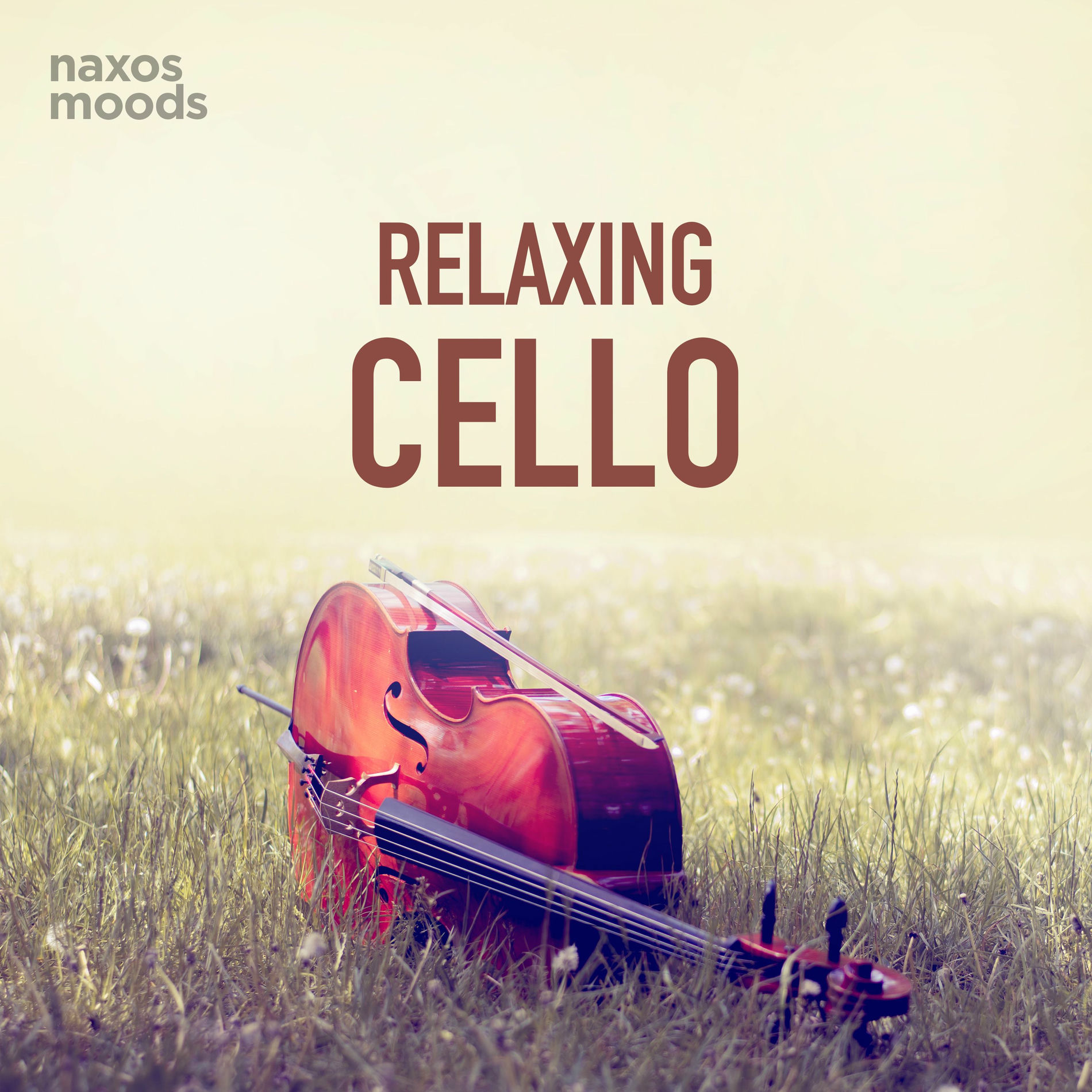 Album cover of 6 Pieces, Op. 19, TH 133: No. 4, Nocturne (Version for Cello & Orchestra)