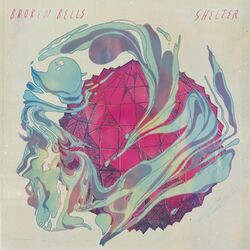 Cover of Shelter