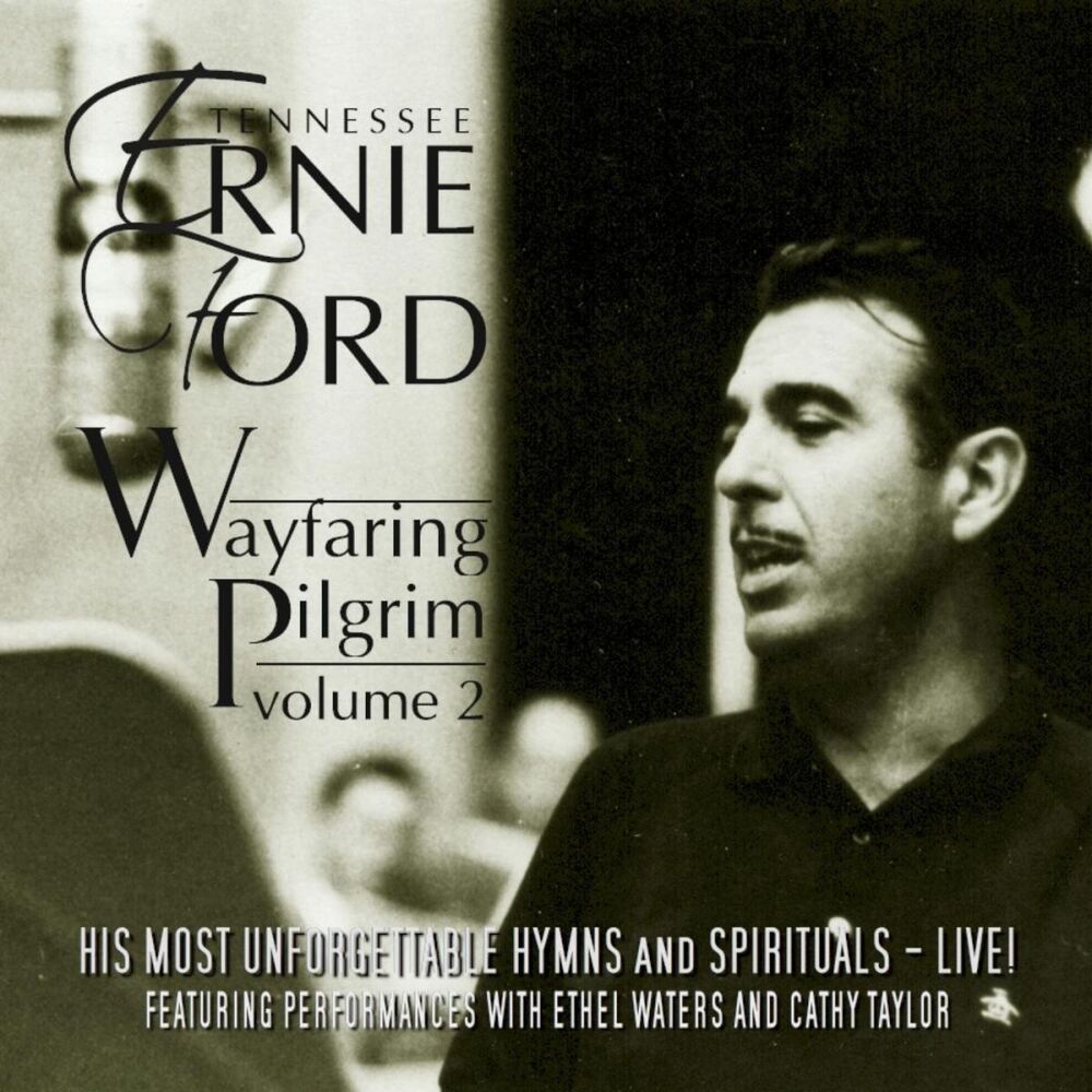 Picture of Wayfaring Pilgrim, Vol. 2