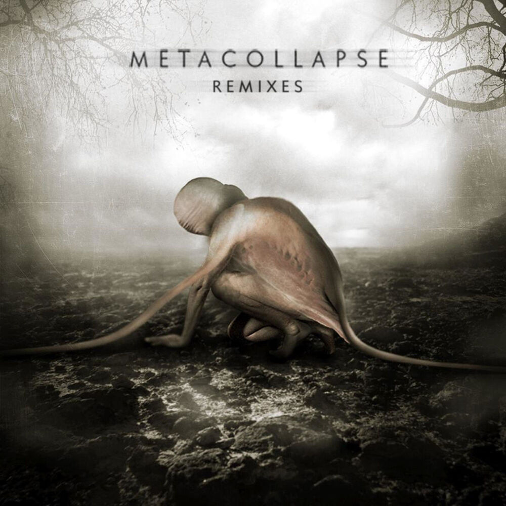 Picture of Metacollapse
