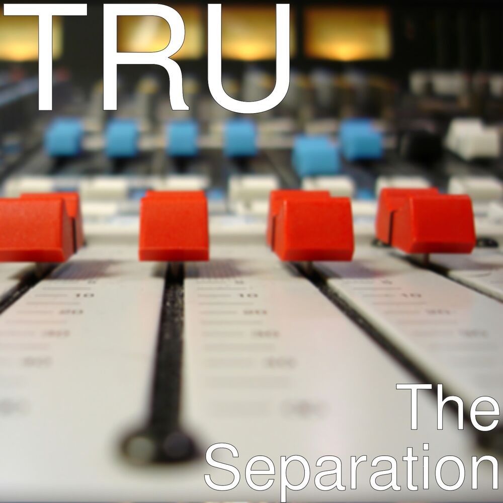 Picture of The Separation