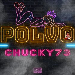 Cover of Polvo