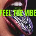 Feel the Vibe