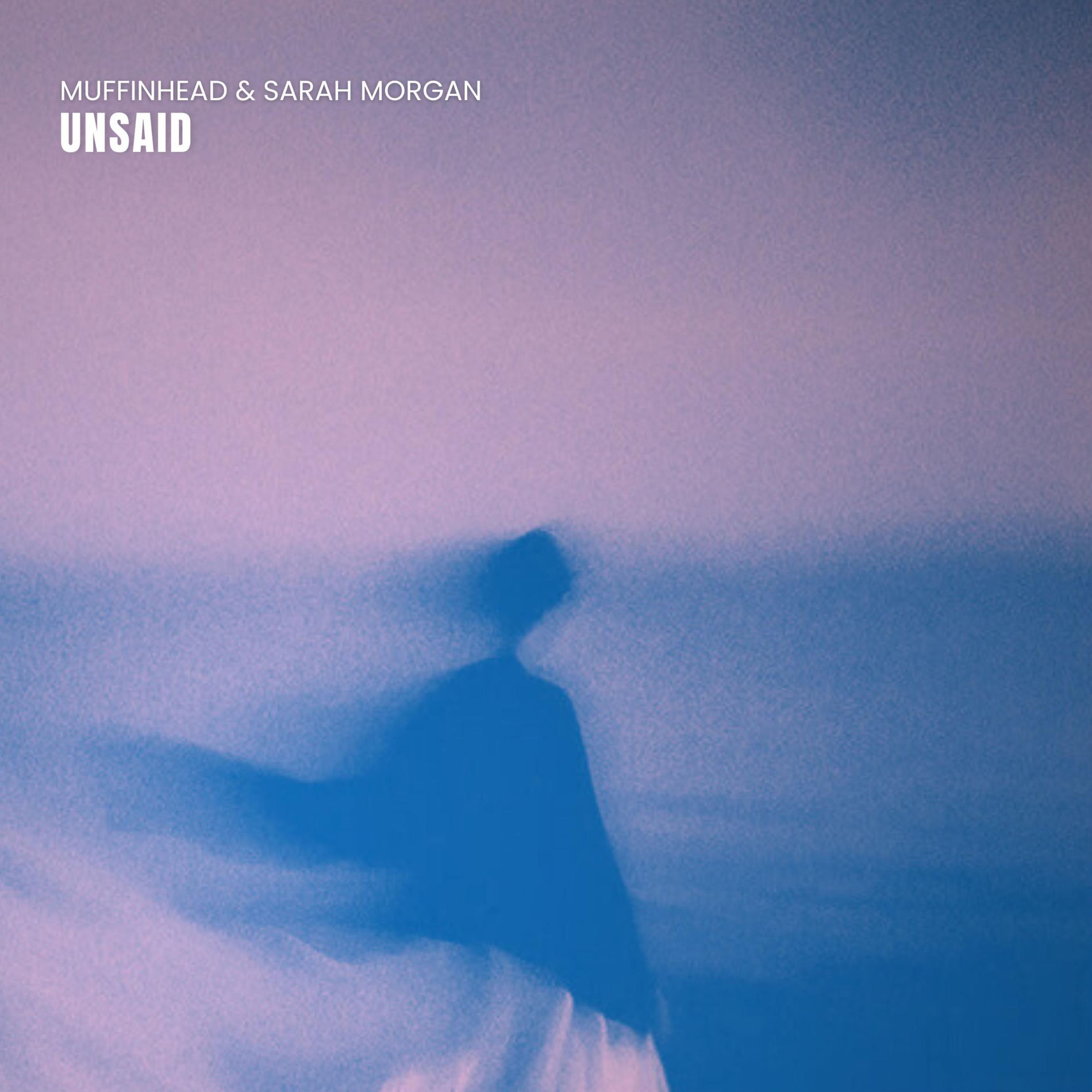 Album cover of Unsaid (feat. Sarah Morgan)
